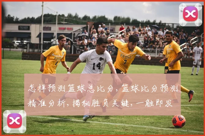 怎样预测篮球总比分,篮球比分预测精准分析,揭秘胜负关键,一触即发