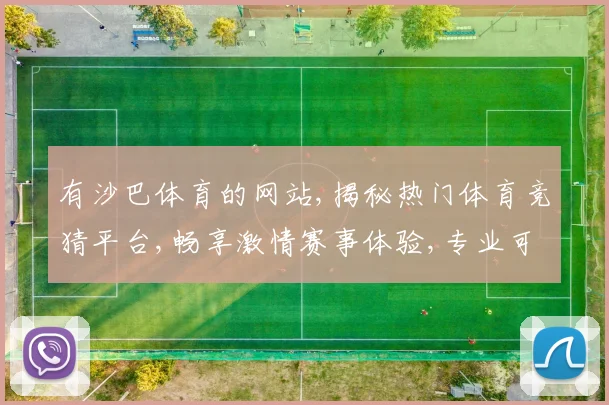 有沙巴体育的网站,揭秘热门体育竞猜平台,畅享激情赛事体验,专业可靠,安全放心,一网打尽。