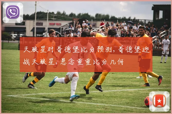 天狼星对哥德堡比分预测,哥德堡迎战天狼星,悬念重重比分几何