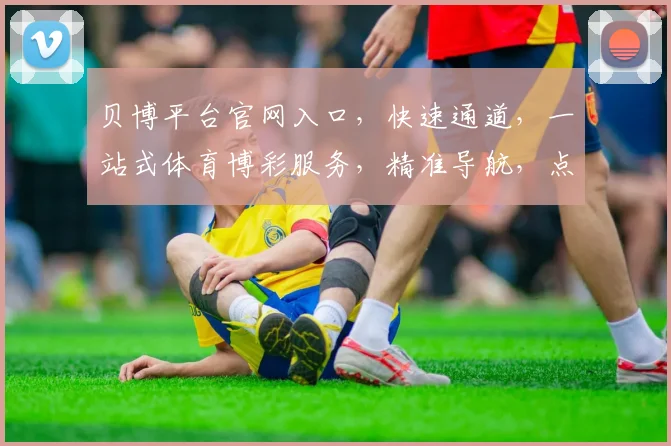 贝博平台官网入口，快速通道，一站式体育博彩服务，精准导航，点击直达